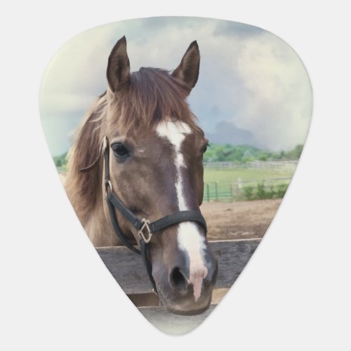 Brown Horse with Halter Guitar Pick