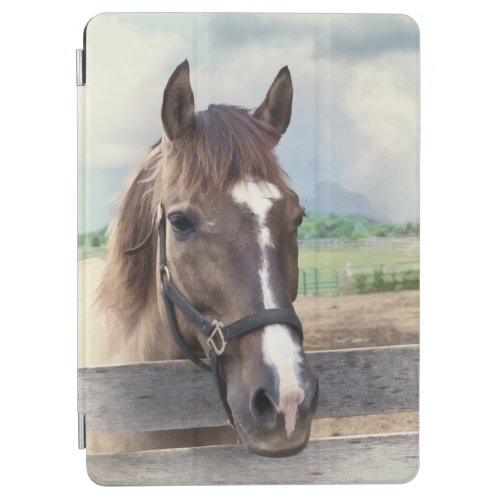 Brown Horse with Halter iPad Air Cover