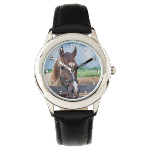 Brown Horse with Halter Watch