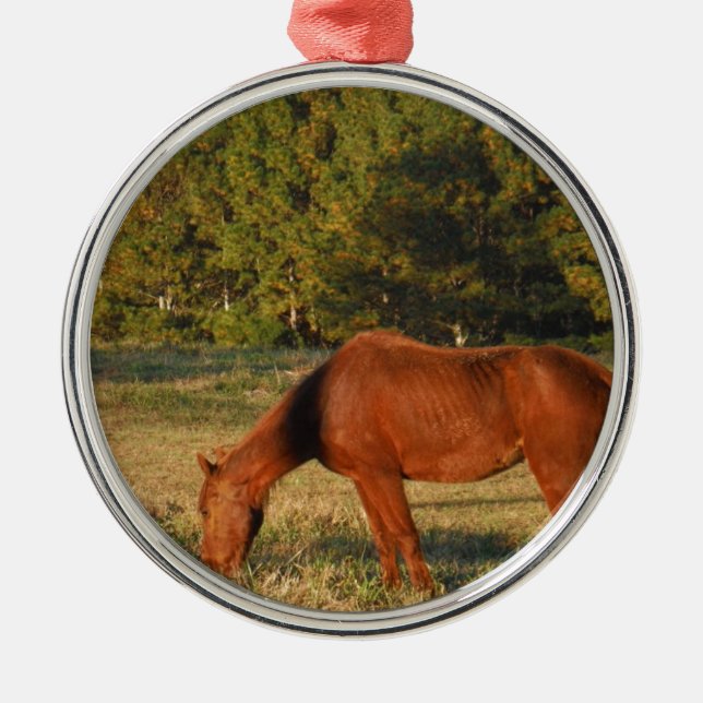 Brown Horse with Pine Trees Metal Ornament (Front)