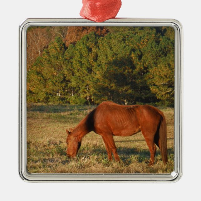Brown Horse with Pine Trees Metal Ornament (Front)