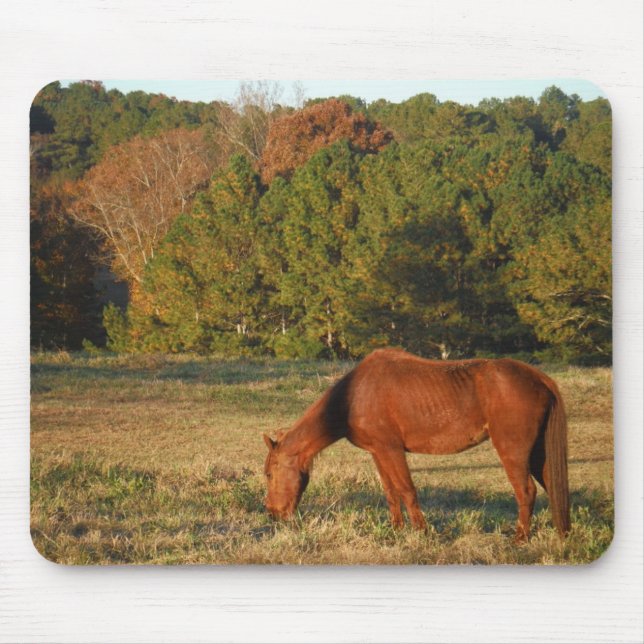 Brown Horse with Pine Trees Mouse Pad (Front)
