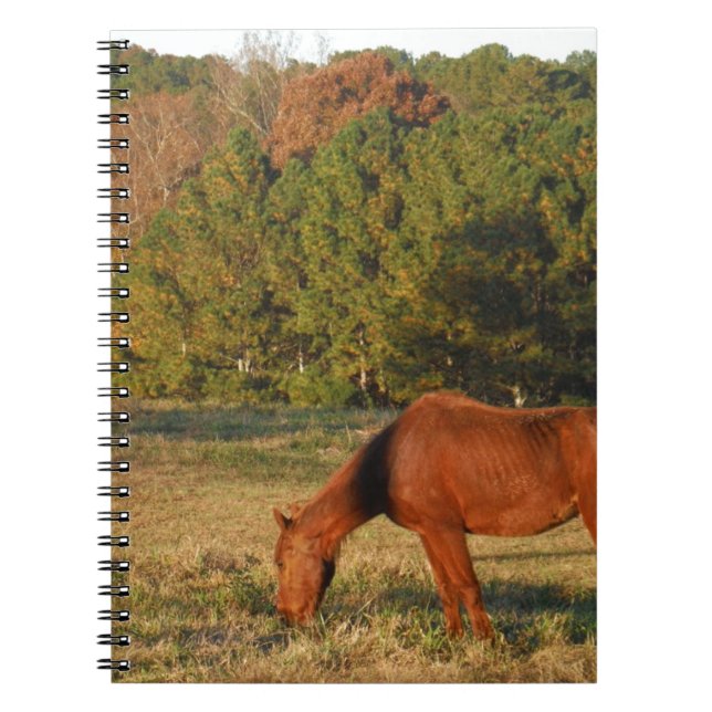 Brown Horse with Pine Trees Notebook (Front)