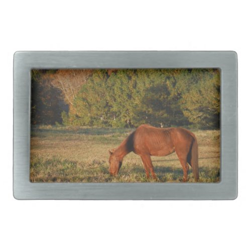 Brown Horse with Pine Trees Rectangular Belt Buckle