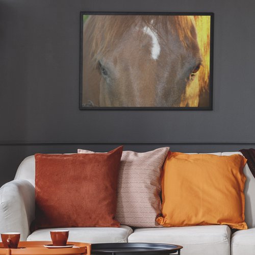 Brown Horse with White Face Marking Photographic Poster