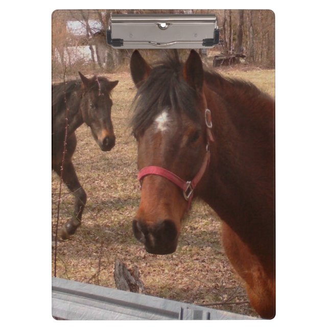 Brown Horses Clipboard (Front)