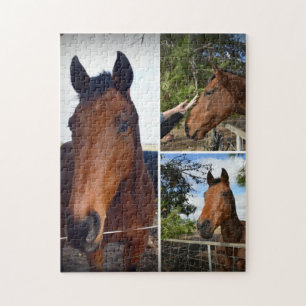 Brown Horses In A Photo Collage, Jigsaw Puzzle