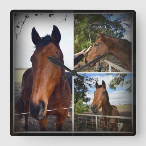 Brown Horses In A Photo Collage Square Wall Clock