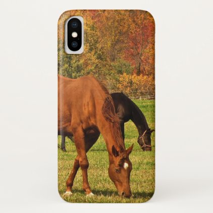 Brown Horses in Autumn iPhone X Case