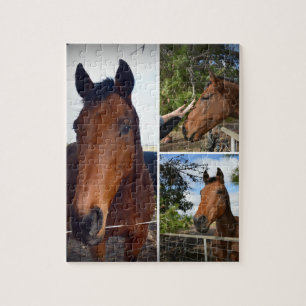 Brown Horses Photo Collage, Jigsaw Puzzle