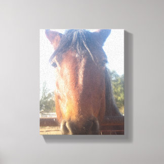 Brown Horsey Love Canvas Print