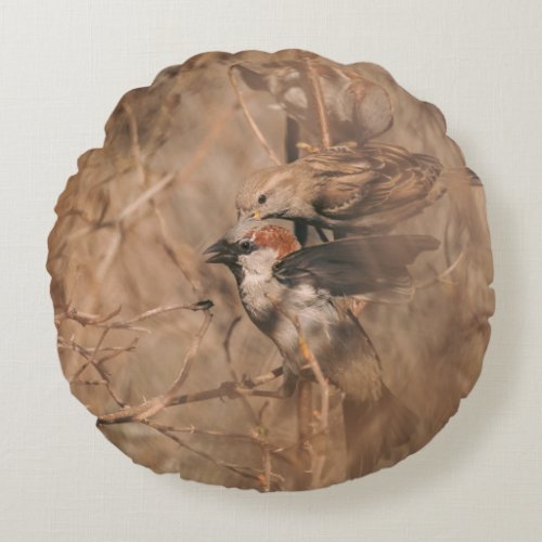 Brown House Sparrow Birds Nature Photography Round Pillow