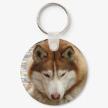 Brown Husky Keychain