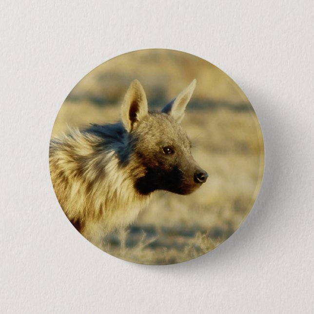 Brown hyena wildlife badges buttons (Front)