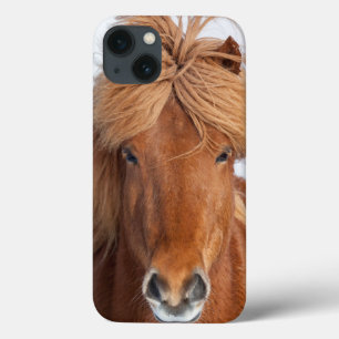 Brown Icelandic Horse Portrait iPhone 13 Case