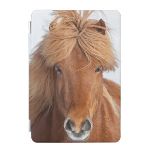 Brown Icelandic Horse Portrait iPad Mini Cover