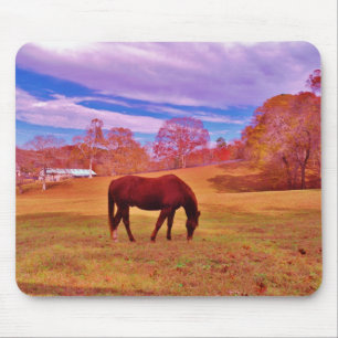 > Brown in a dreamy colored field Mouse Pad