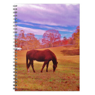 > Brown in a dreamy colored field Notebook