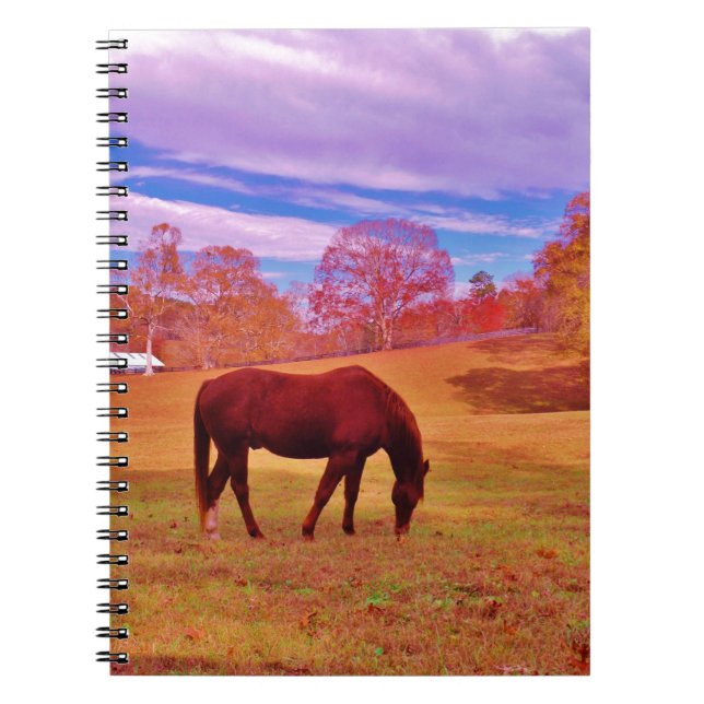 > Brown in a dreamy colored field Notebook (Front)