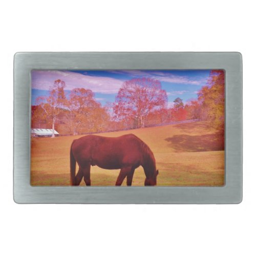  Brown in a dreamy colored field Rectangular Belt Buckle