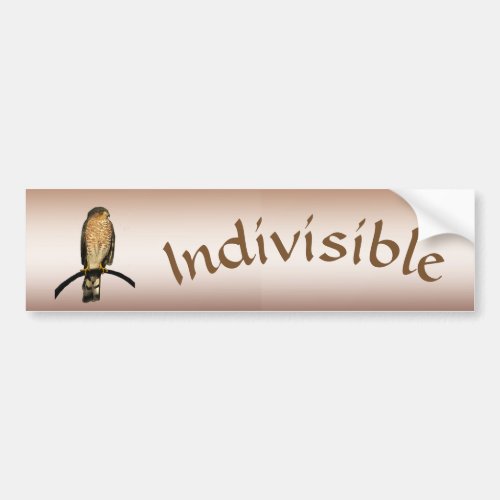 Brown Indivisible Hawk Bumper Sticker