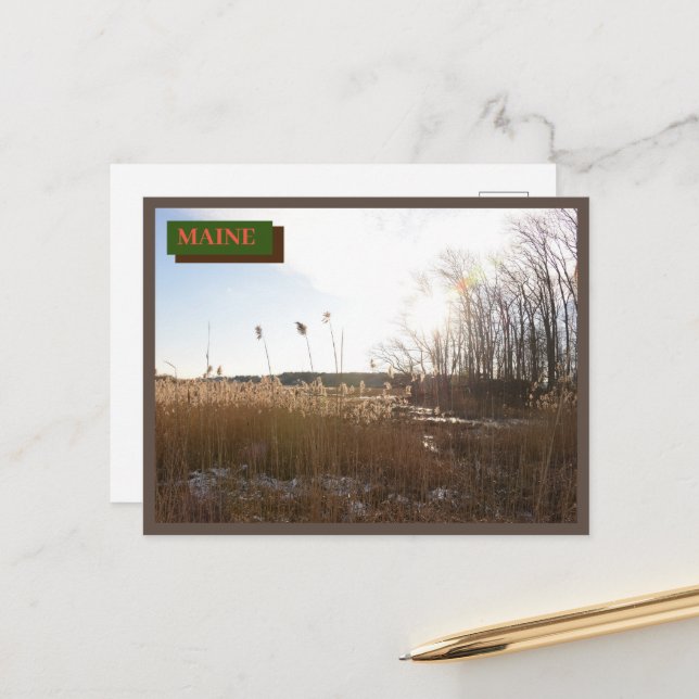 Brown Kittery Seapoint Beach Maine Nature  Postcard (Front/Back In Situ)