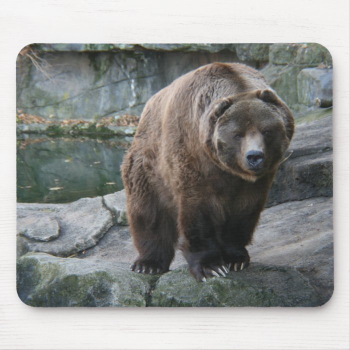 Brown Kodiak Bear Mouse Pad