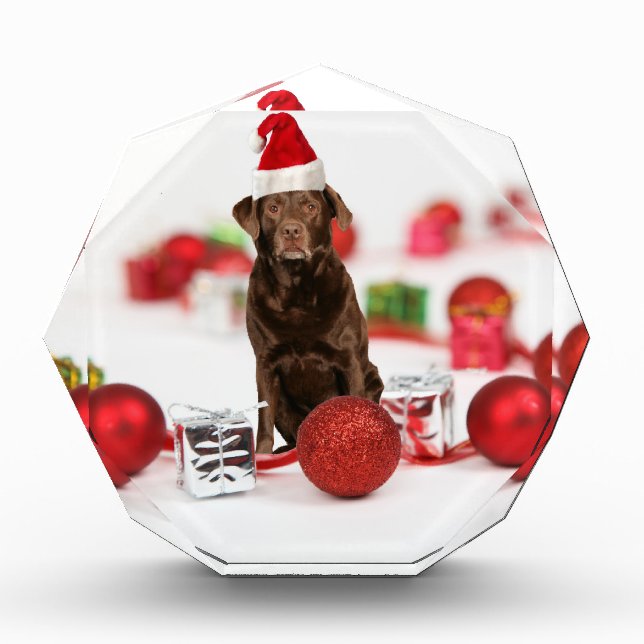 Brown Labrador Dog Christmas w Gifts Santa Hat (Front)