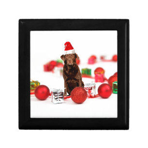 Brown Labrador Dog Christmas w Gifts Santa Hat Gift Box