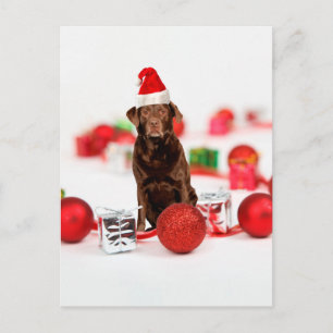 Brown Labrador Dog Christmas w Gifts Santa Hat Holiday Postcard