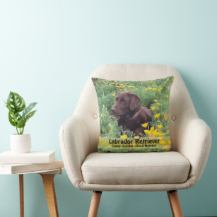 Brown Labrador Dog in Poppy Patch Photograph Throw Pillow