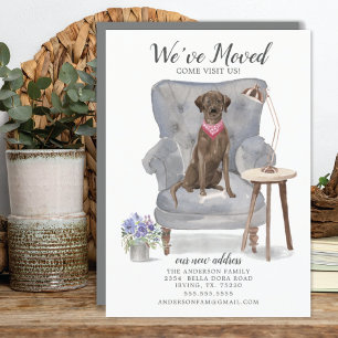 Brown Labrador Retriever Dog   Moving Announcement