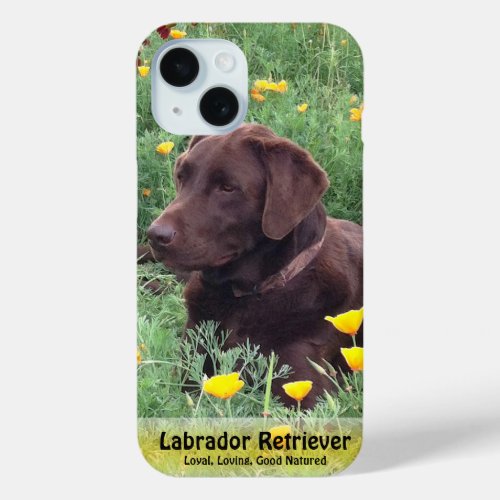 Brown Labrador Retriever in Poppy Patch iPhone 15 Case