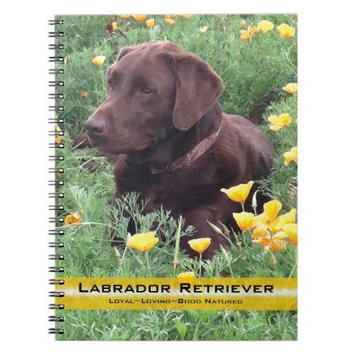 Brown Labrador Retriever In Poppy Patch Photograph Notebook