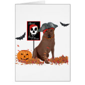 Brown Labrador Retriever Pirate (Front)