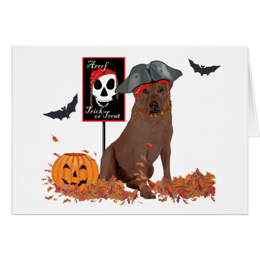 Brown Labrador Retriever Pirate Cards (Front Horizontal)