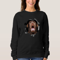 Brown labrador retriever portrait Premium