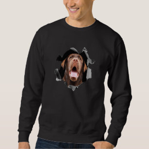 Brown labrador retriever portrait Premium Sweatshirt