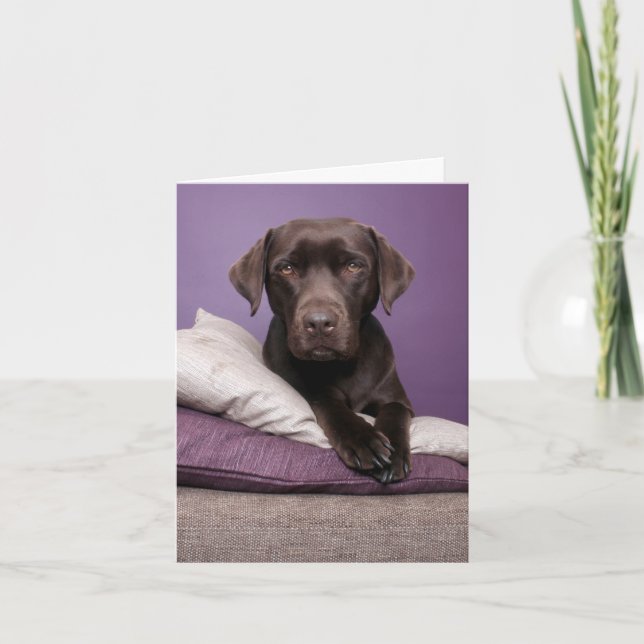 Brown Labrador Retriever Puppy Dog Blank Note Card (Front)