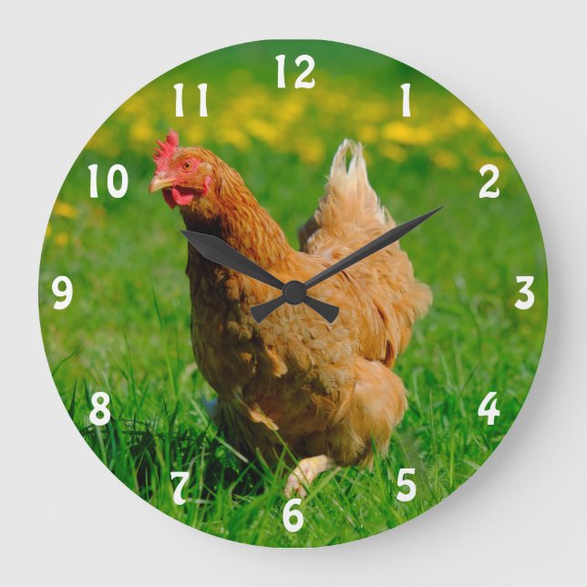 Brown Laying Hen Large Clock (Front)