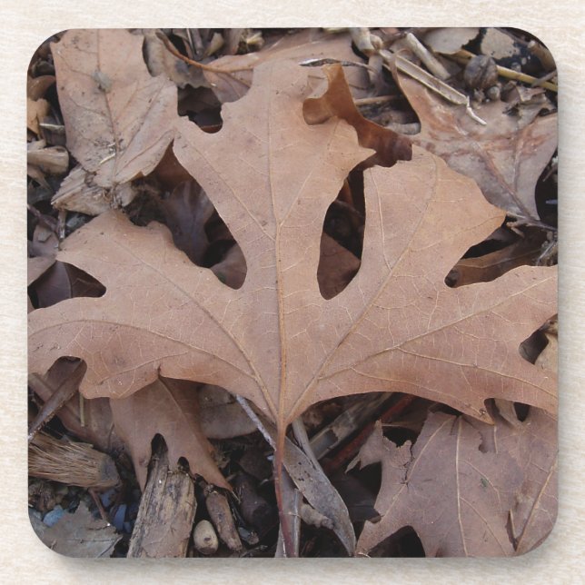 Brown Leaf Coasters. Coaster (Front)