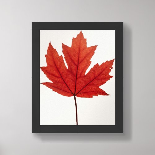 brown leaf framed art