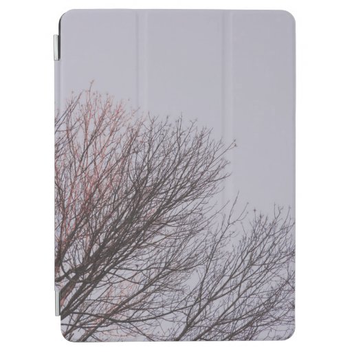 BROWN LEAFLESS TREE UNDER WHITE SKY iPad AIR COVER