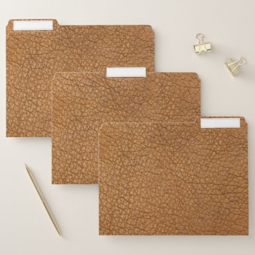 Brown leather file folder