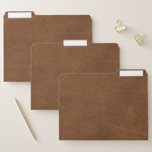 Brown leather file folder