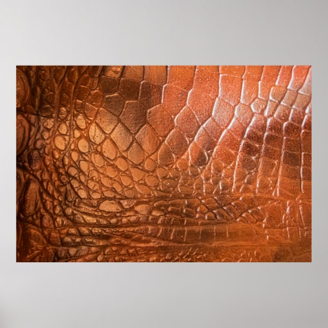 Brown leather with a pattern in the form of a scal poster (Front)
