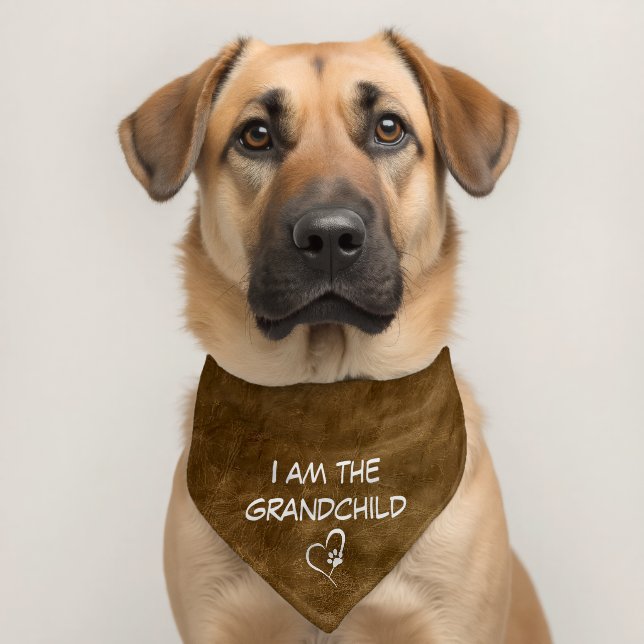 Brown Leather With Fun Text Pet Bandana Collar (Dog 2)