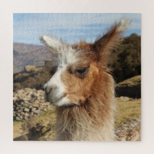 Brown Llama Close up Face Profile - Cusco Peru Jigsaw Puzzle