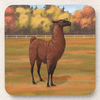 Brown Llama in Autumn Farm Pasture Beverage Coaster