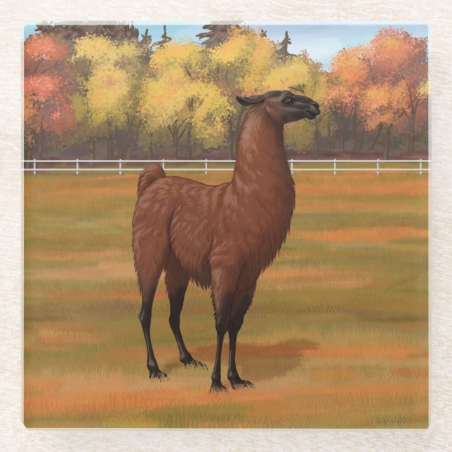 Brown Llama in Autumn Farm Pasture Glass Coaster (Front)